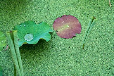 体感运动欢乐无限 《任天堂Switch运动》上市宣传片